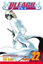 Bleach: 22