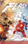 The Flash: Vol. 2 - Rogues Revolution