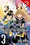 Kingdom Hearts II: 3