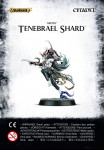 Aelves Tenebrael Shard