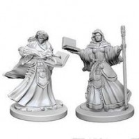 D&D Nolzur\'s Marvelous Unpainted Minis: Human Female Wizard