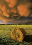 Palapeli: Power of Nature - Rising Storm 29550 (1000pc)
