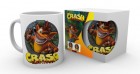 Muki: Crash Bandicoot - Crash