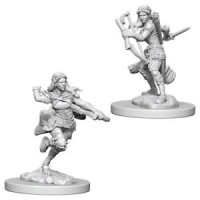 D&D Nolzur\'s Marvelous Unpainted Minis: Air Genasi Female Rogue