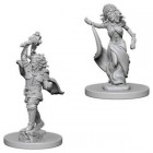 D&D Nolzur's Marvelous Unpainted Minis: Medusas