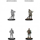 Pathfinder Deep Cuts Unpainted Miniatures: Towns People -Farmer/Aristocrat (2)