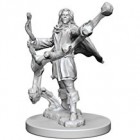 Pathfinder Deep Cuts Unpainted Miniatures: Elf Male Sorcerer (2)