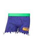 Bokserit: Marvel - Hulk Novelty Ripped Underwear (S)