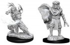 D&D Nolzur's Marvelous Unpainted Minis: Human Male Druid 2