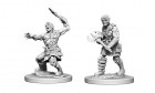 D&D Nolzur's Marvelous Unpainted Minis: Nameless One