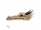 Suitsuketeline: Draco Skull Incense Holder (24cm)