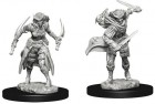 D&D Nolzur's Marvelous Unpainted Minis: Tiefling Female Rogue (2)