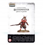 Blades Of Khorne: Bloodmaster, Herald Of Khorne