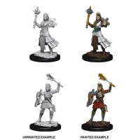 D&D Nolzur\'s Marvelous Unpainted Minis: Human Female Cleric