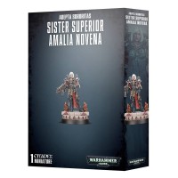 Sister Superior Amalia Novena Celebration Miniature