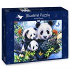 Palapeli: Panda Family (1000)