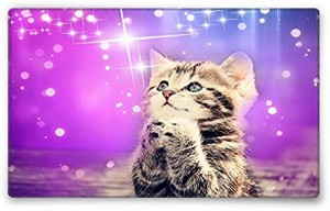 Hiirimatto: Sparkling Kitten (24x20)