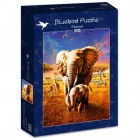 Palapeli: Elephant (1000)