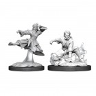 D&D Nolzur's Marvelous Unpainted Minis: Human Female Monk (v.2)