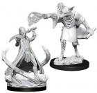 D&D Nolzur's Marvelous Unpainted Miniatures: Arcanaloth & Ultroloth