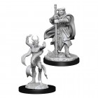 D&D Nolzur's Marvelous Miniatures: Hobgoblin Devastator & Hobgoblin Iron Shadow