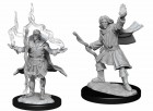 Pathfinder Deep Cuts Unpainted Miniatures: Elf Sorcerer Male (2)