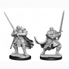 D&D Nolzur's Marvelous Miniatures: Half-Orc Paladin Male