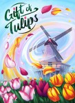 Gift of Tulips