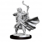 Dungeons & Dragons Frameworks - Elf Ranger Male