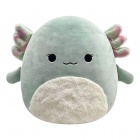 Pehmo: Squishmallows - Chasman The Axolotl (30cm)