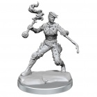 Dungeons & Dragons Frameworks - Human Rogue Female