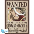 Juliste: One Piece  - Wanted Whitebeard (52x38cm)