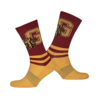 Sukat: Harry Potter - Gryffindor Striped (40-45)