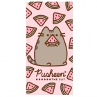 Pyyhe: Pusheen - Watermelon