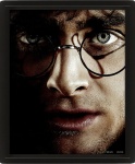 Wall Art - Harry Potter Vs Voldemort 3d Framed 20x25