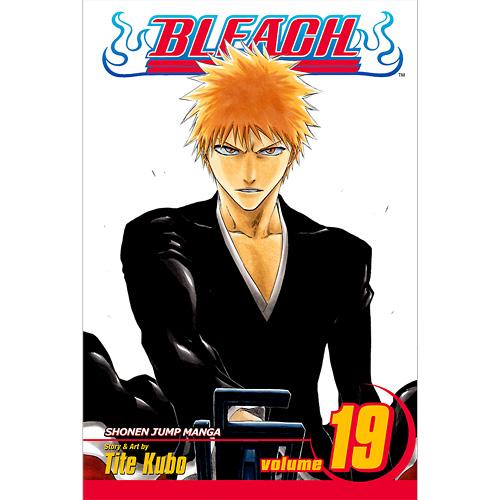 Bleach: 19