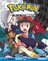 Pokemon Black & White: Vol 12