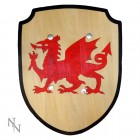 LARP Aseistus: Welsh Shield