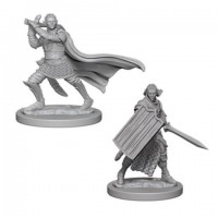 Pathfinder Deep Cuts Unpainted Minis: Elf Male Paladin