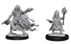 Pathfinder Deep Cuts Unpainted Minis: Evil Wizards