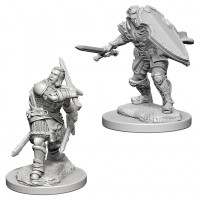 D&D Nolzur\'s Marvelous Unpainted Minis: Human Male Paladin