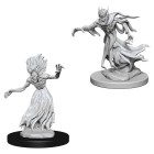 D&D Nolzur's Marvelous Unpainted Minis: Wraith & Specter