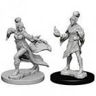 Pathfinder Deep Cuts Unpainted Miniatures: Elf Female Sorcerer (2)