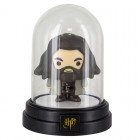 Lamppu: Harry Potter - Hagrid Mini Bell Jar