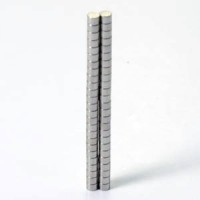 Magnets: 3/32\'\' x 1/16\'\' (50)