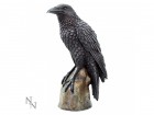 Nemesis Now: Ravens Rest (16cm)