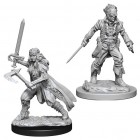 D&D Nolzur's Marvelous Unpainted Minis: Vampire Hunters