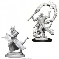 D&D Nolzur\'s Marvelous Unpainted Minis: Tiefling male Sorcerer