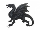 Nemesis Now: Dragon Watcher (31cm)