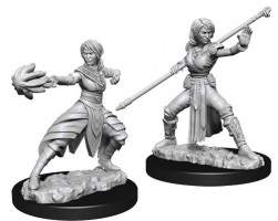 D&D Nolzur\'s Marvelous Unpainted Minis: Half-Elf Monk Female